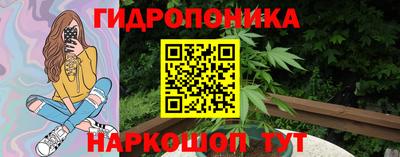 гашик Лесосибирск