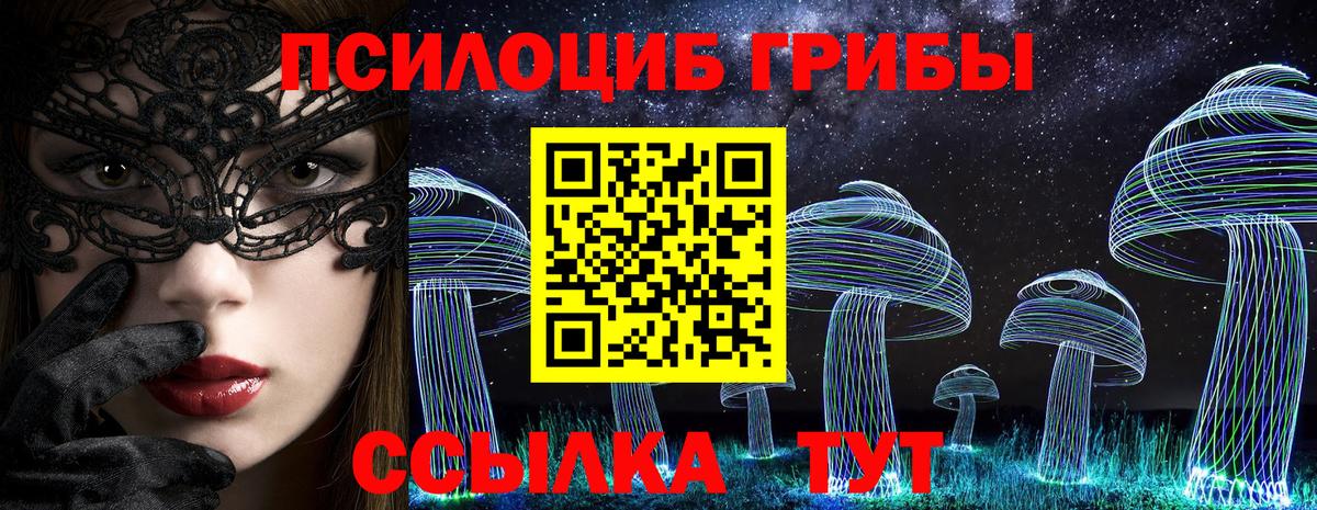 Галлюциногенные грибы Cubensis Черняховск